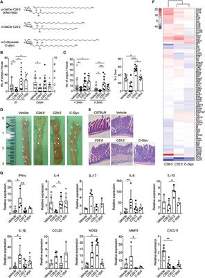 Promotion or Suppression of Murine Intestinal Polyp Development by iNKT Cell Directed Immunotherapy